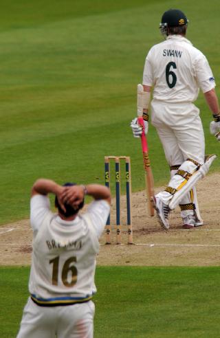 Cricket