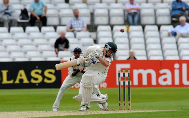 Cricket