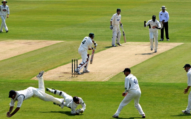 Cricket