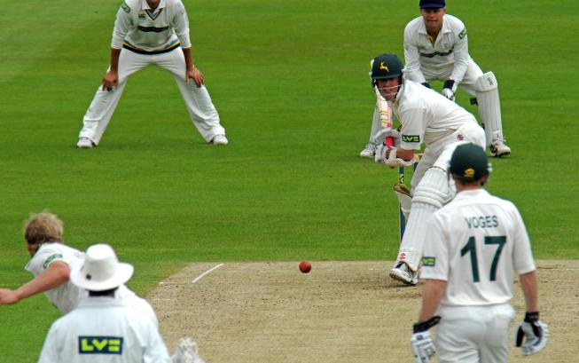 Cricket