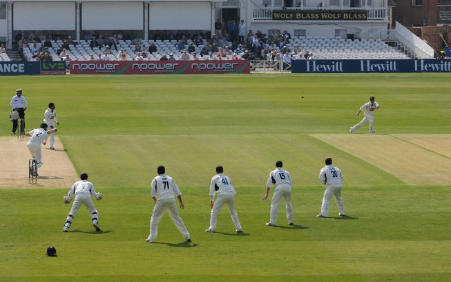 cricket