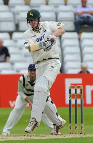 cricket