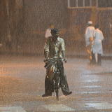 Ahmedabad cyclist